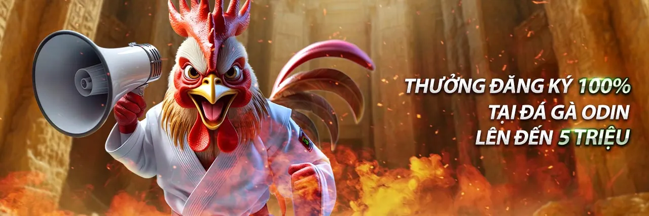 Khuyến mãi Z888 độc quyền